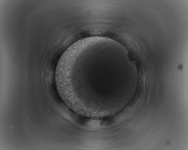 X0000101680227200808071117