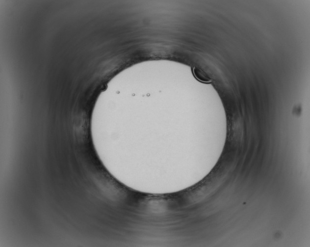 X0000101680228200808071117