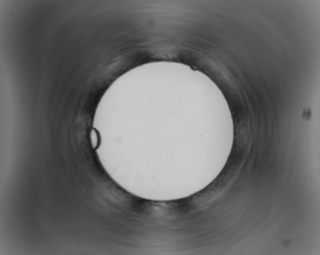 X0000101680229200808071116