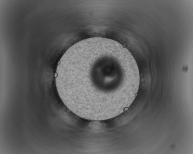 X0000101680231200808071116