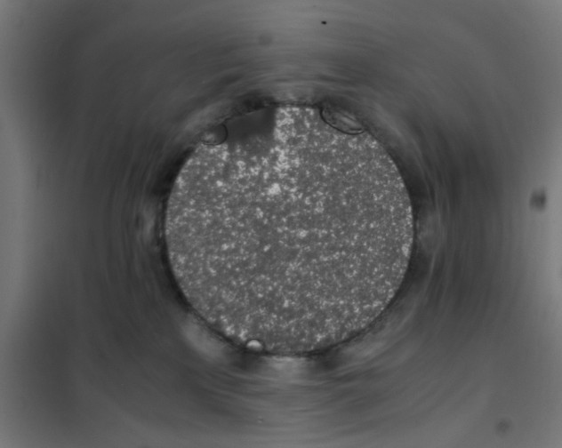 X0000101680233200808071116