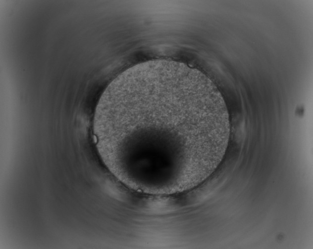 X0000101680235200808071116
