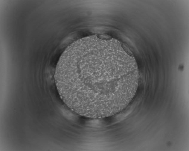 X0000101680237200808071116