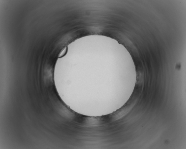 X0000101680238200808071116