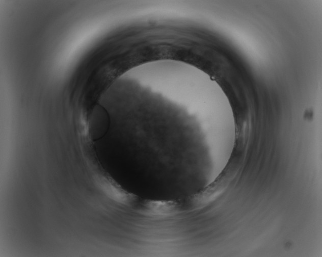 X0000101680239200808071116