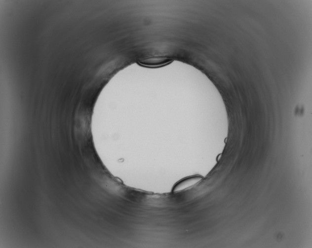 X0000101680240200808071116