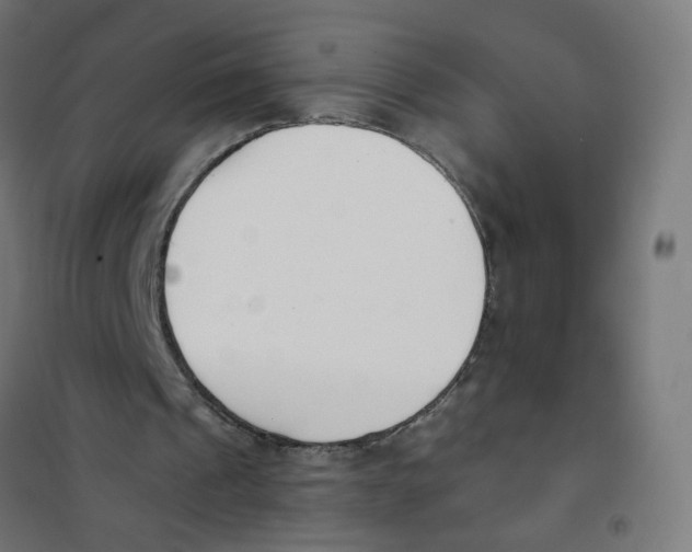 X0000101680241200808071116