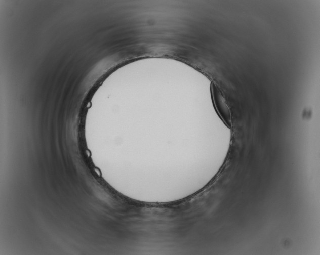X0000101680242200808071116