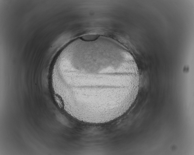 X0000101680243200808071116