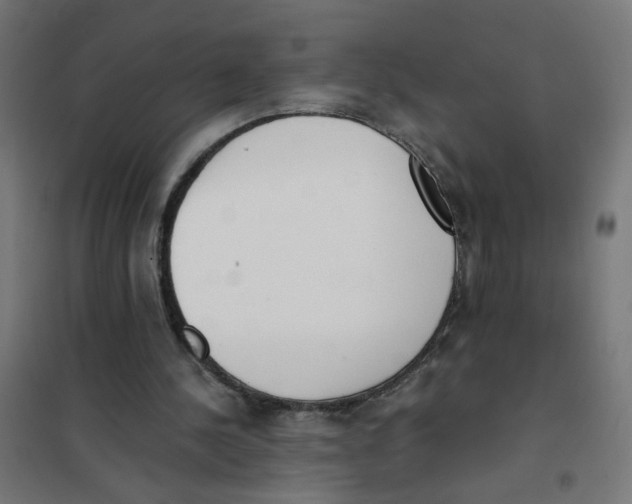 X0000101680244200808071116