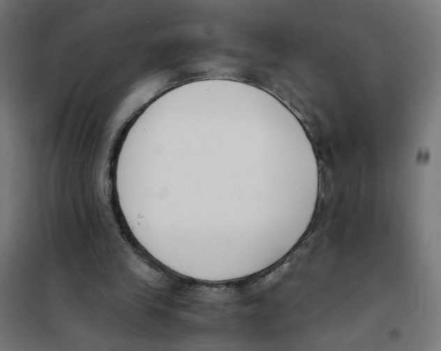X0000101680245200808071116