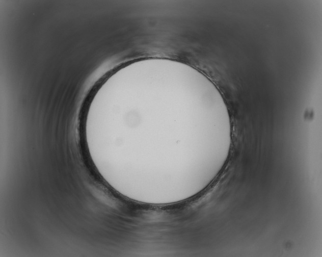 X0000101680246200808071116