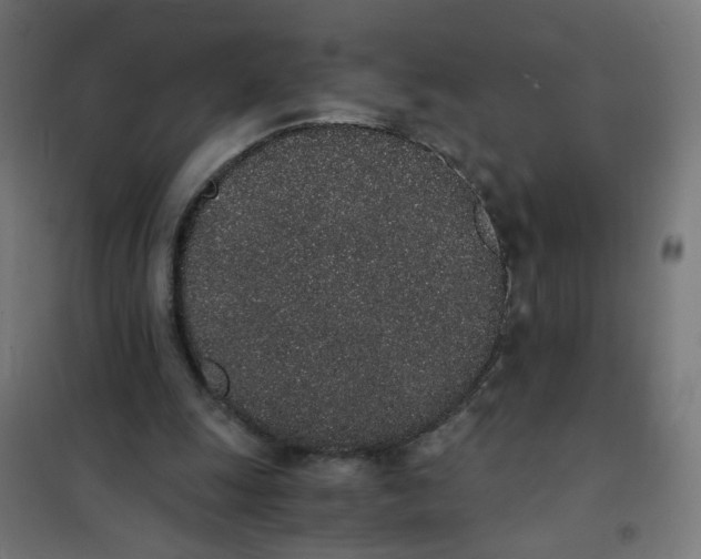 X0000101680247200808071116