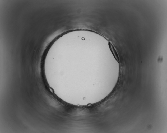 X0000101680248200808071116