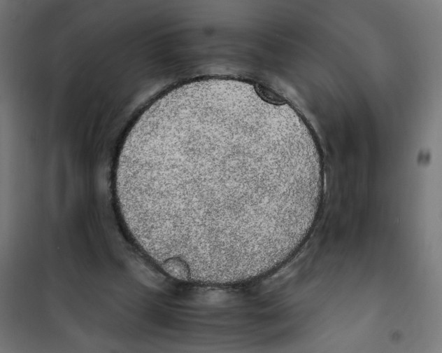 X0000101680249200808071116