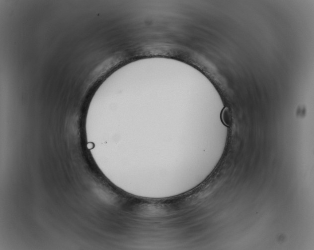 X0000101680250200808071116