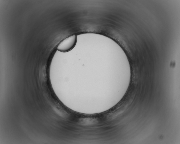 X0000101680251200808071116