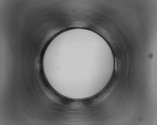 X0000101680252200808071116
