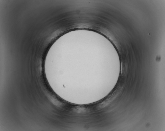X0000101680253200808071116
