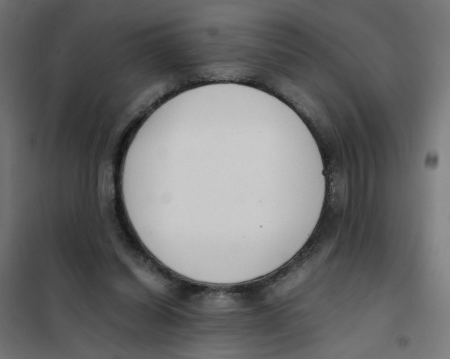 X0000101680254200808071116