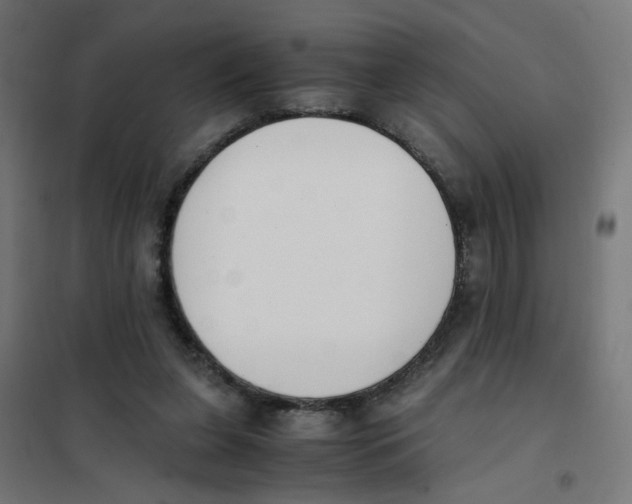 X0000101680255200808071116