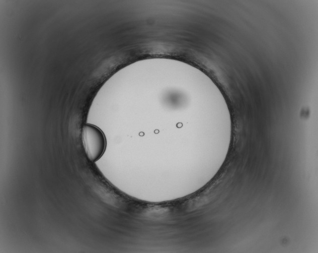 X0000101680257200808071116