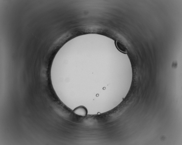 X0000101680258200808071116