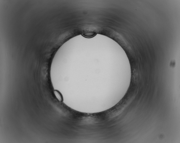 X0000101680259200808071116