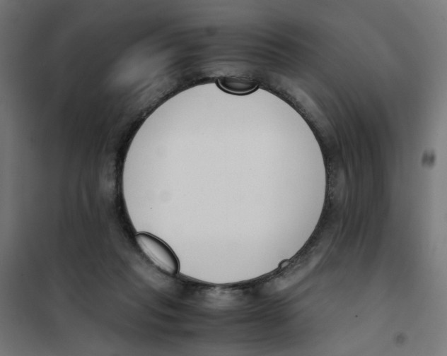 X0000101680261200808071116
