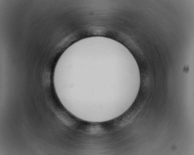 X0000101680262200808071116