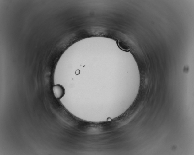 X0000101680263200808071116