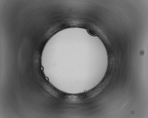 X0000101680265200808071116