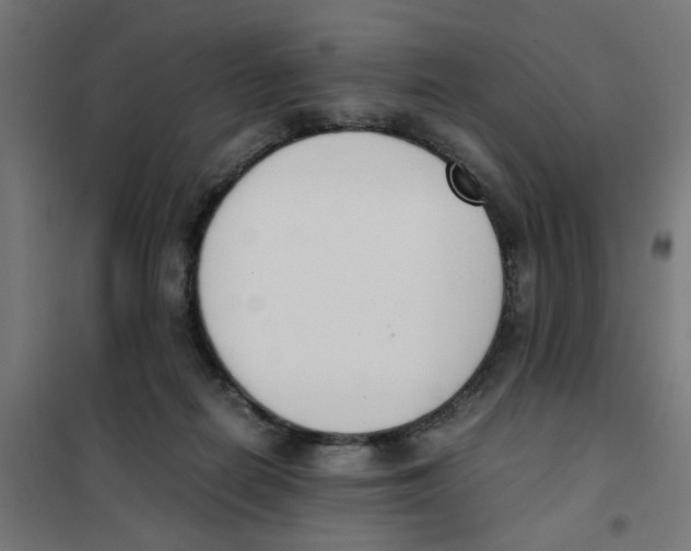 X0000101680266200808071116