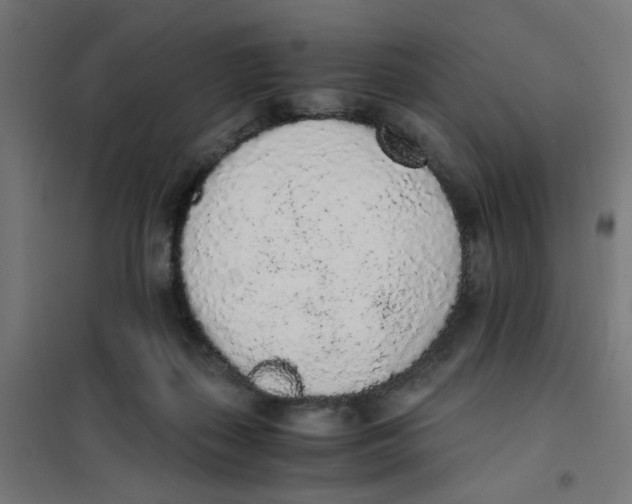 X0000101680267200808071116
