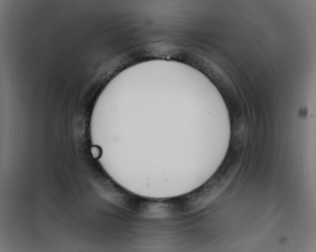 X0000101680268200808071116