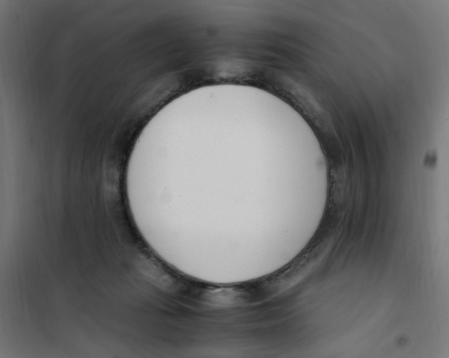X0000101680269200808071116