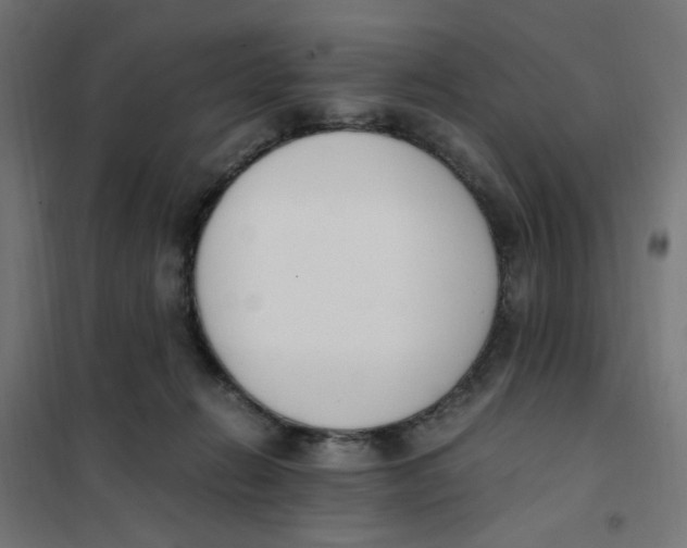 X0000101680270200808071116