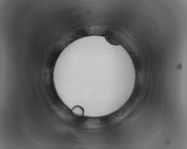 X0000101680271200808071116