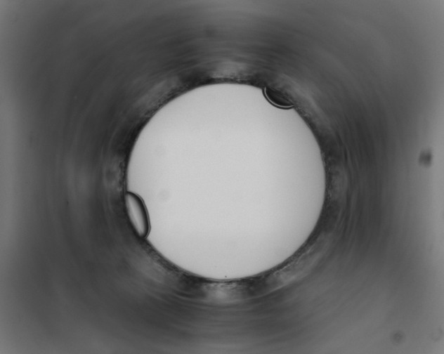 X0000101680273200808071116