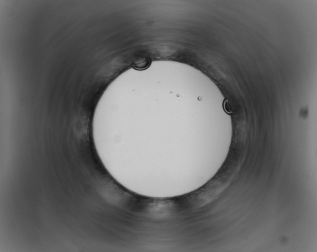 X0000101680274200808071116