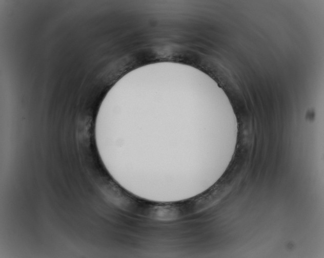 X0000101680275200808071116