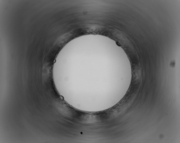 X0000101680276200808071116