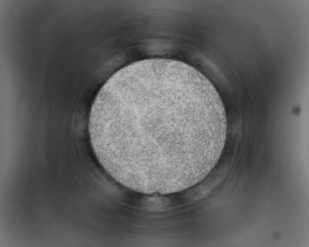 X0000101680277200808071116