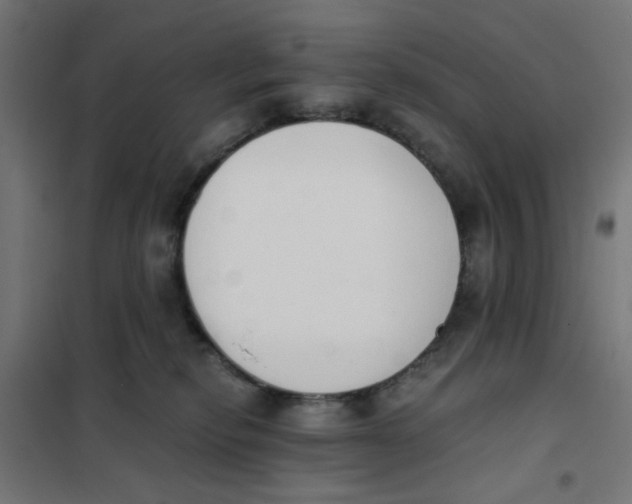 X0000101680278200808071116