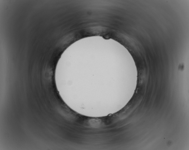 X0000101680279200808071116