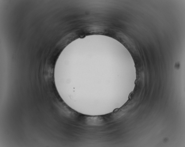 X0000101680281200808071116
