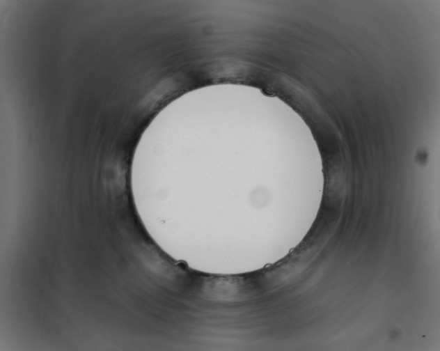 X0000101680282200808071116