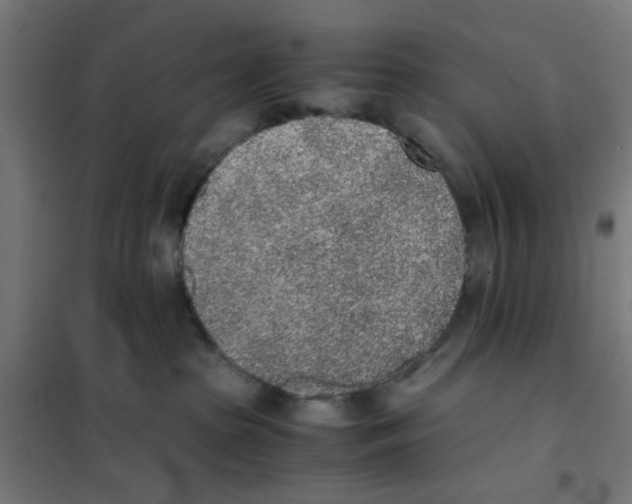 X0000101680285200808071116