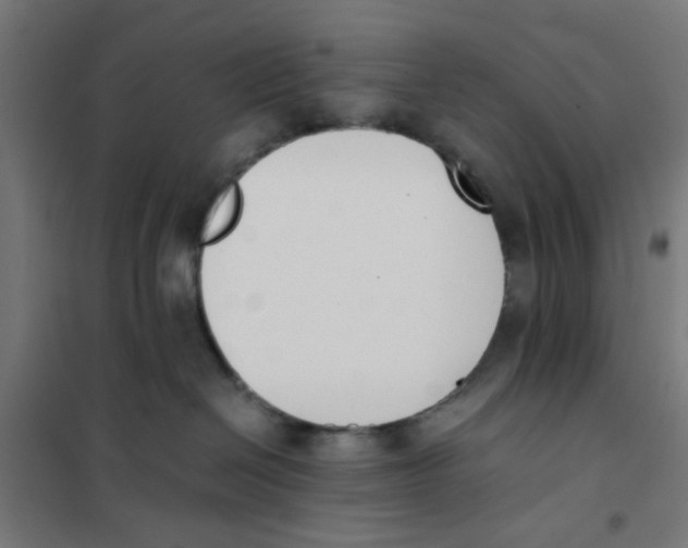 X0000101680286200808071116