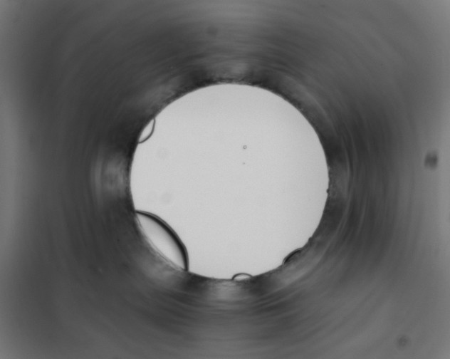 X0000101680287200808071116